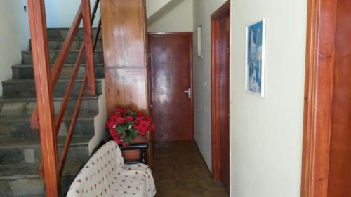 Marios Studios Marios Studios