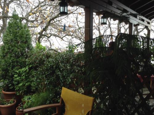 I Folia 1 * - pic #10