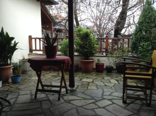 I Folia 1 * - pic #22