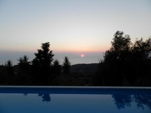 Green Villa 3 * - pic #4