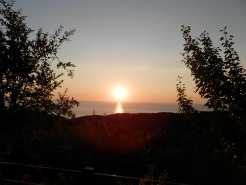 Green Villa 3 * - pic #2