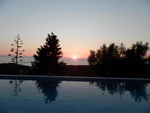 Green Villa 3 * - pic #22