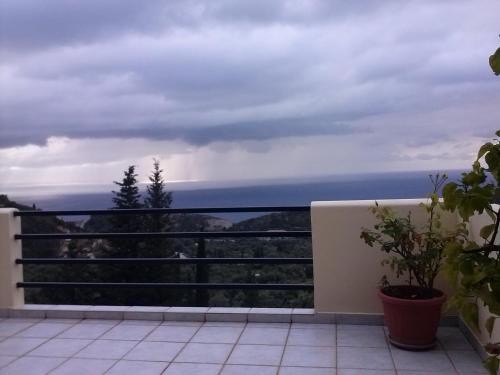 Green Villa 3 * - pic #28