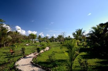The Zanzibari