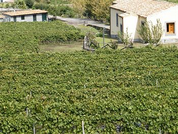 Etna Wine Agriturismo