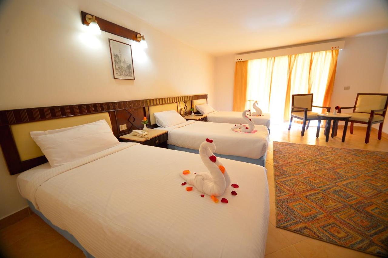 Falcon Naama Star Hotel - Egypt - Sharm El Sheikh