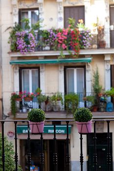 THC Latina Hostel - Spain - Madrid