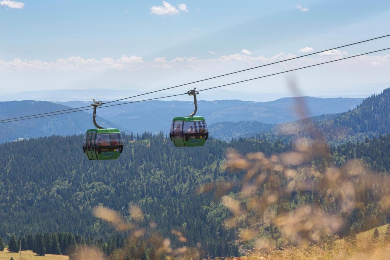 Ferien- und Wellness Hotel Schwarzw?lder Hof - Germany - Black Forest