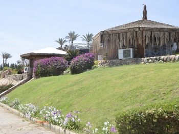 Queen Sharm Beach Resort-All Inclusive - Egypt - Sharm El Sheikh