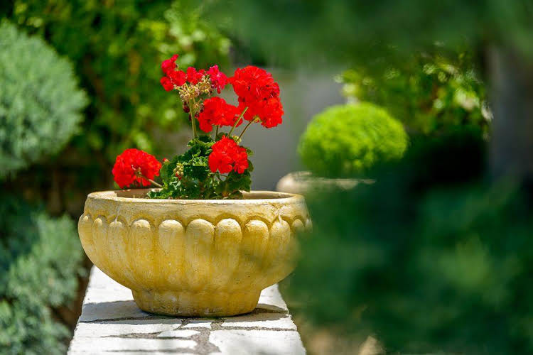 Idilli Villas 5 * - pic #27