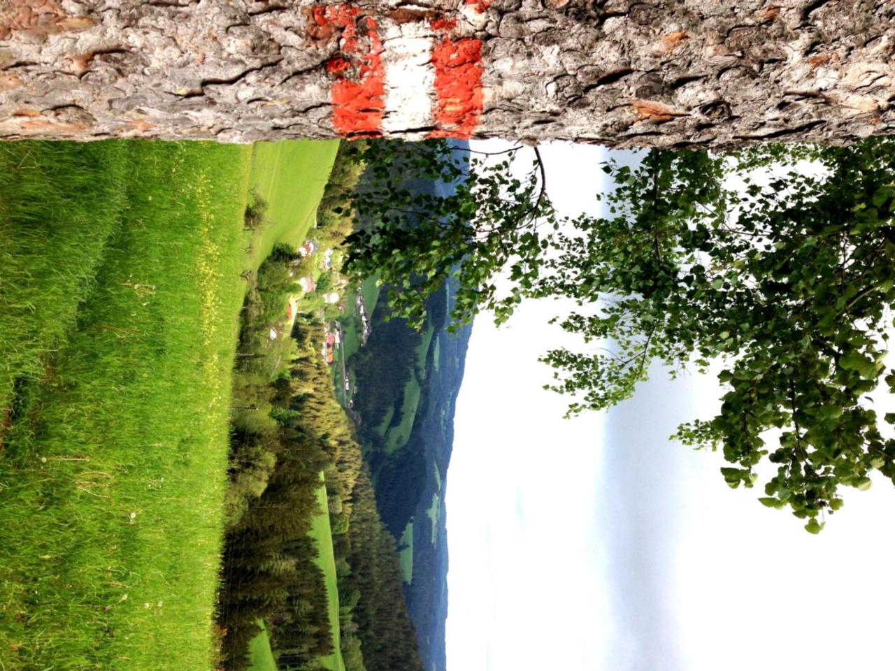 Gasthof zur Post - Austria - Vienna