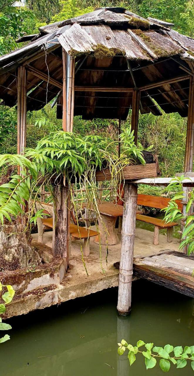 Mu Cang Homestay - Vietnam - Sapa