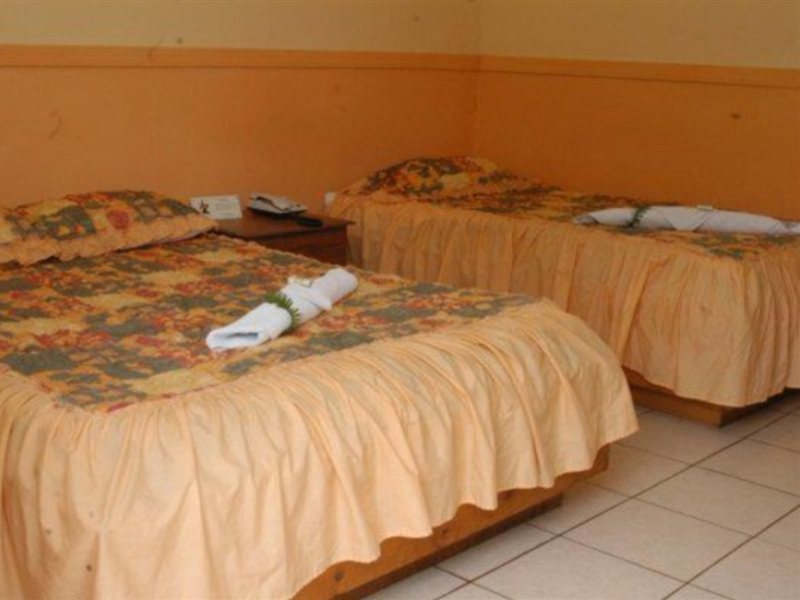 Wagelia Dominica - Costa Rica - San Jose