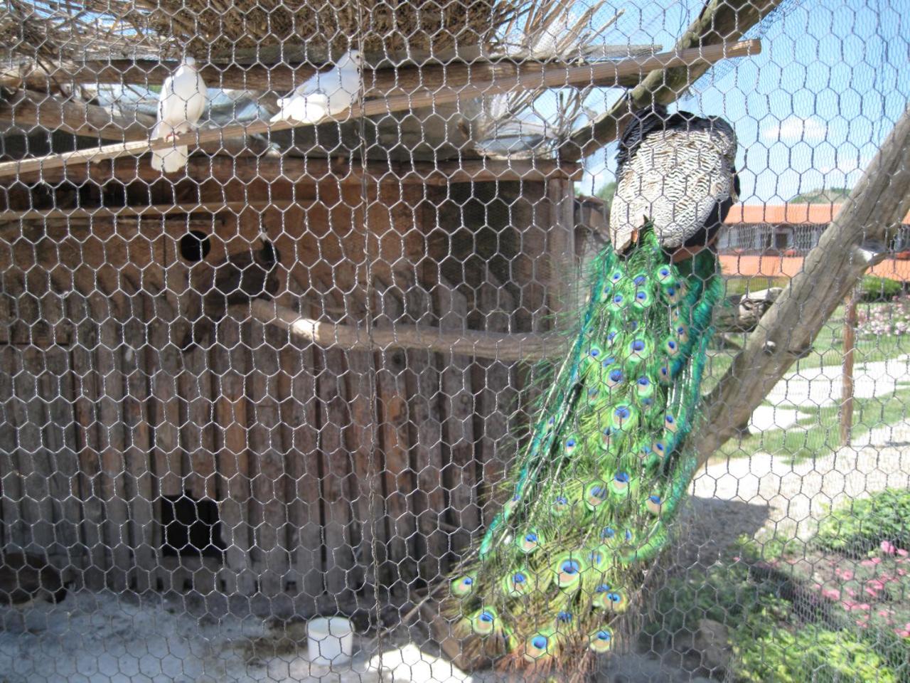 COMPLEX BARITE - Bulgaria - Varna